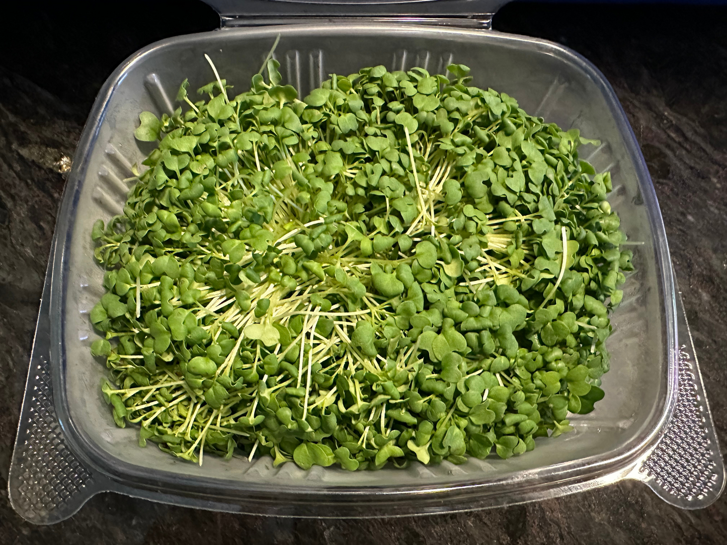 Zesty Power Punch Microgreens