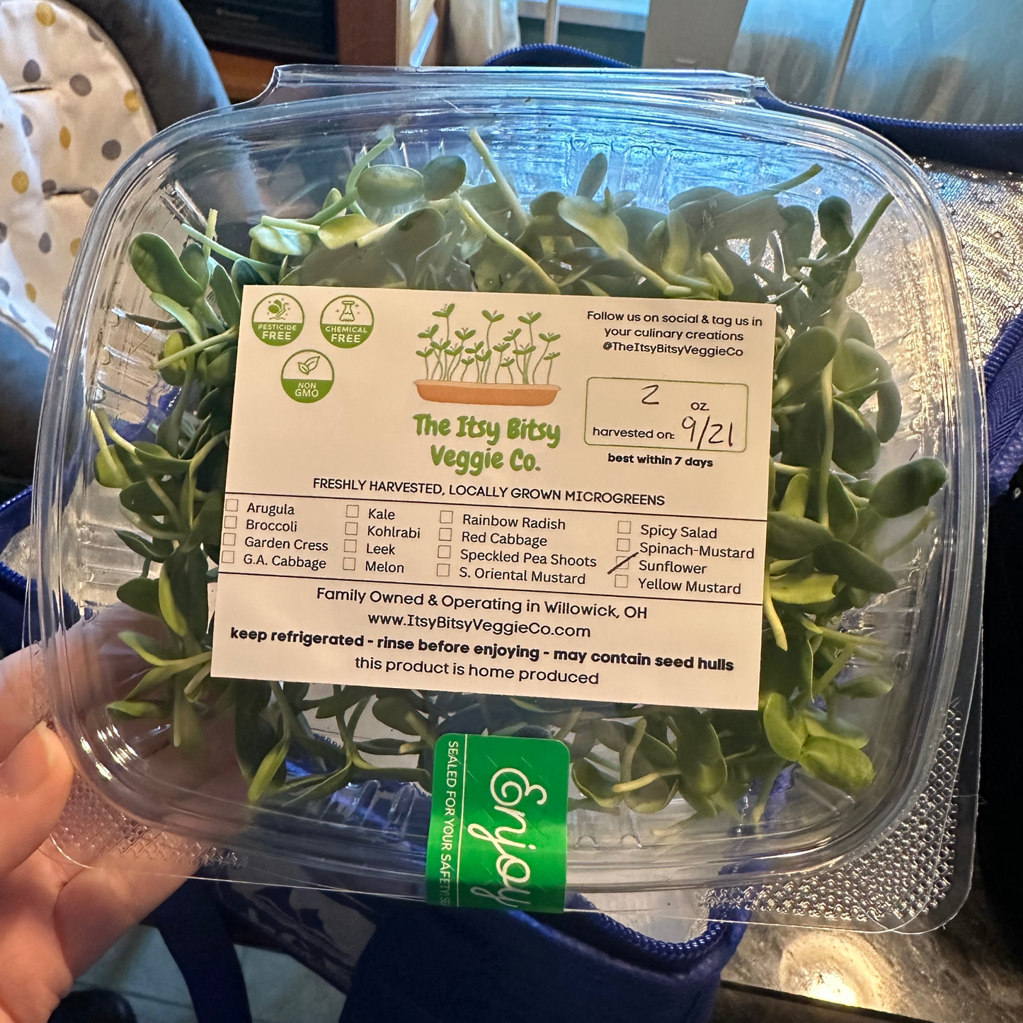 Sunflower Microgreens