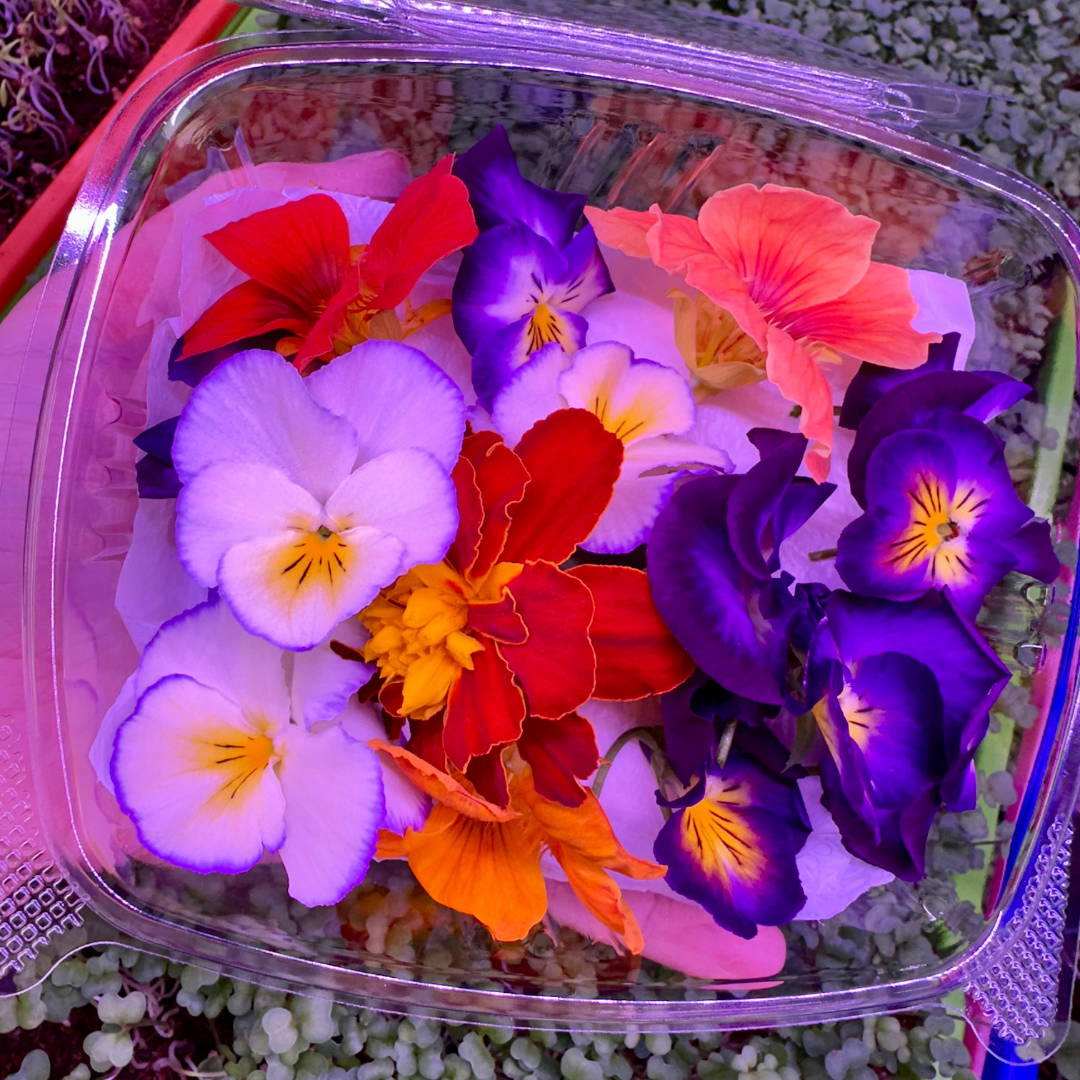 Edible Flower Mix