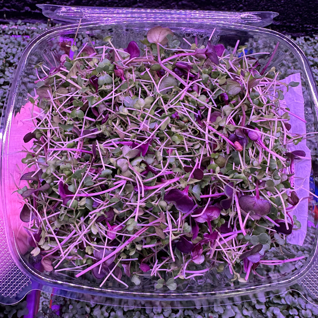 Mighty Micro Blend