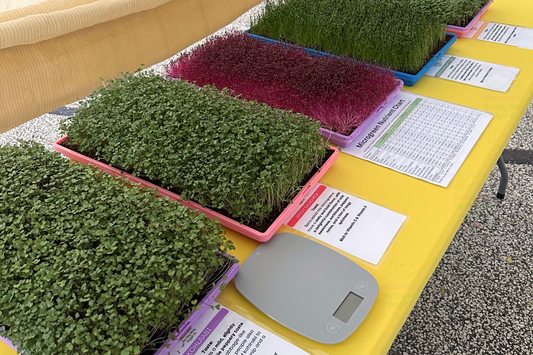 Why Microgreens Are a Superfood (and Why Itsy Bitsy Veggie Co. is Your Go-To Source)
