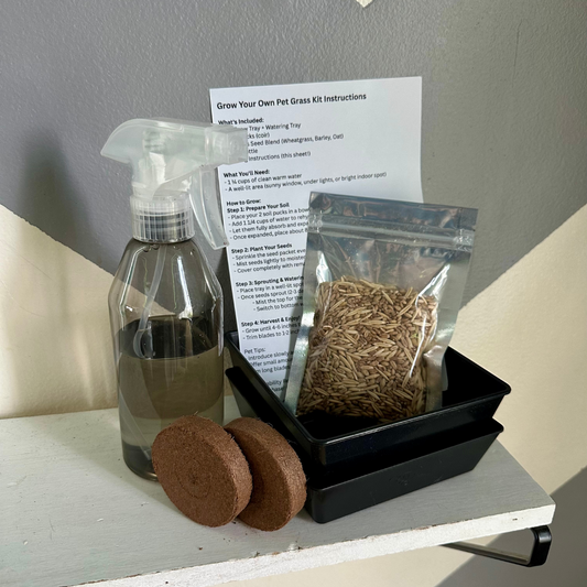 Grow at Home Pet Grass Kit