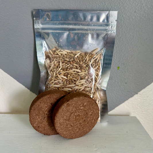 Grow at Home Pet Grass Refill Kit