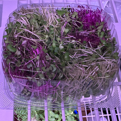 Farmers Choice Microgreen Blend