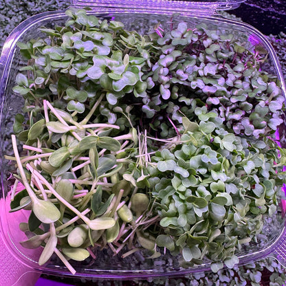 Farmers Choice Microgreen Blend