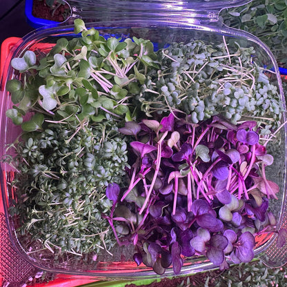 Farmers Choice Microgreen Blend